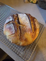 M. review photo