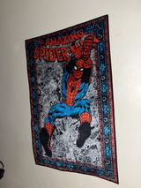 Peter Parker review photo
