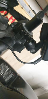 Dario P. review photo