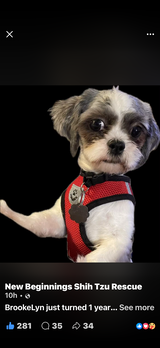 Barry R. review photo