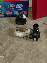 Joey review photo