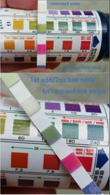 Lareen review photo
