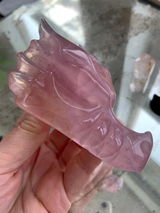 Reva S review photo