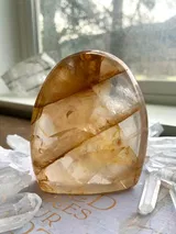 Terry S review photo