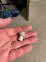 Nakia G review photo