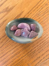 Elise T review photo