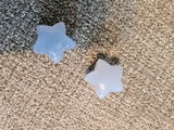 Rosanna G review photo