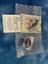Coralie R review photo
