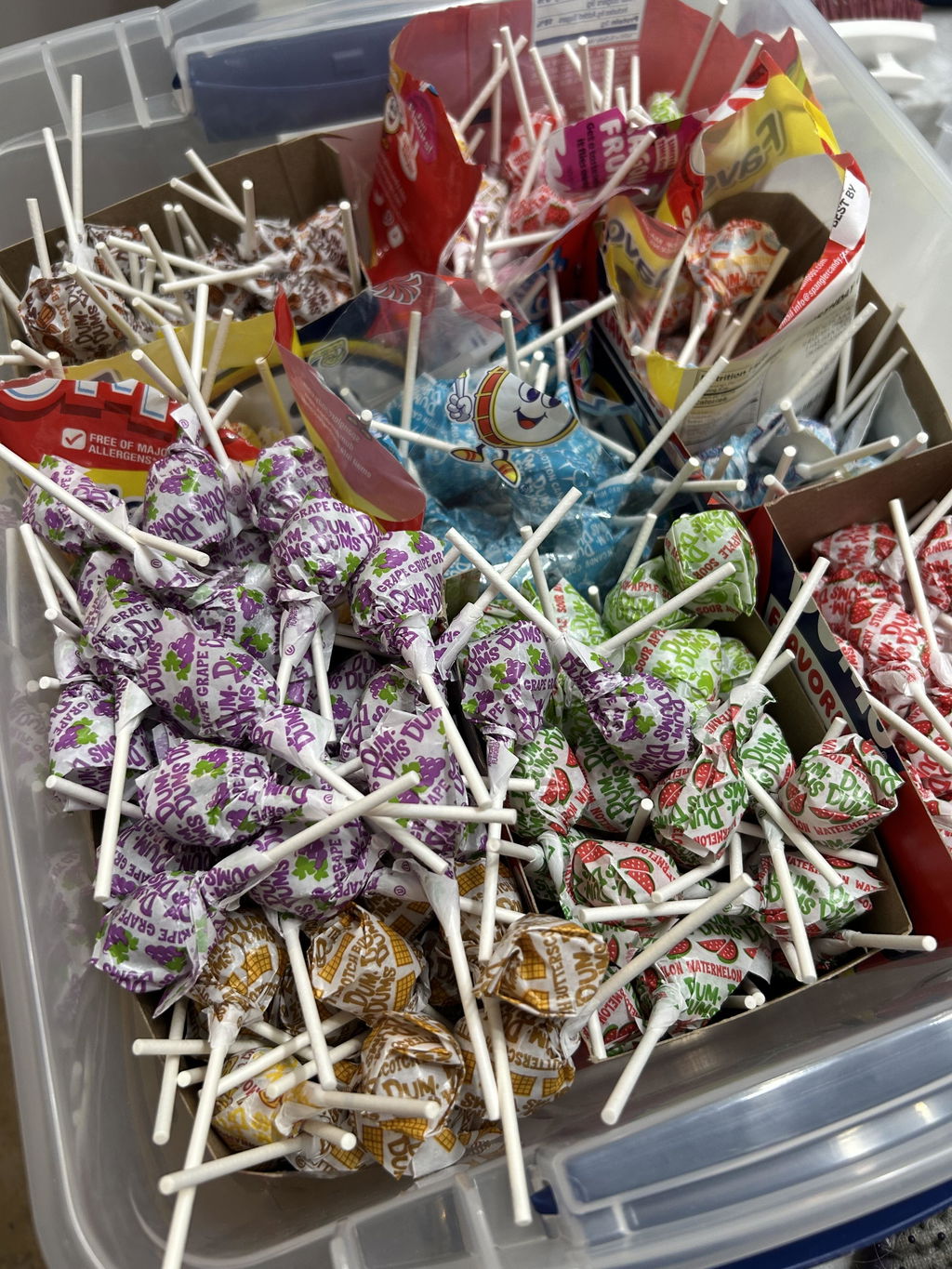 Bulk Dum Dums Root Beer Lollipops - 50 Count Bag | Free Shipping