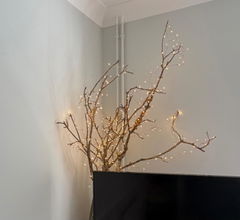 Review picture