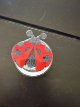 Kris P. review photo