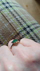 Maaike Plomp review photo