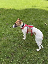Bridie D. review photo