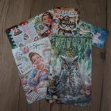 Birgit review photo