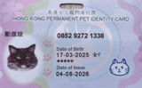 Chi Kin Cheng review photo