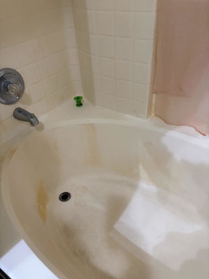 Customer photo of a shower after Scum Bum