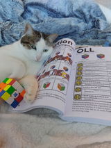Sibylle review photo