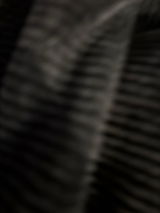 davis q. review photo