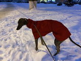 Siarhei K. review photo