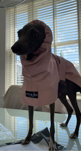 Gemma review photo