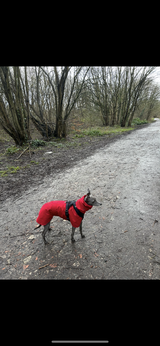 A.M. review photo
