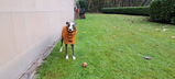 Rodders review photo