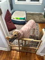 Erin review photo