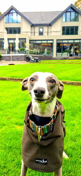 Rodders review photo