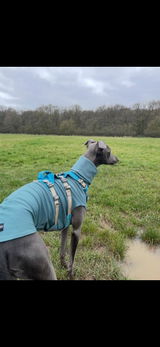 Wilf w. review photo