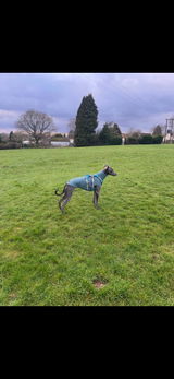 Wilf w. review photo
