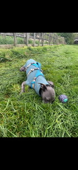Wilf w. review photo