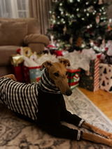 Gracie G. review photo