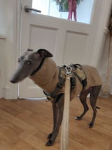 Shelley H. review photo