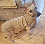 Stacey review photo