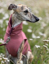 Annika review photo