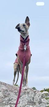 Annika review photo