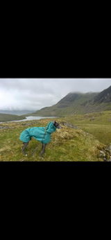 Juracraven review photo