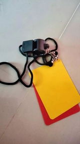 Wahyu Nugroho review photo