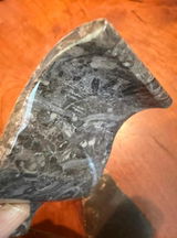 Truthtreasurer review photo