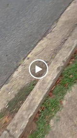 Jackson S. review photo