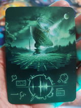 Timo review photo