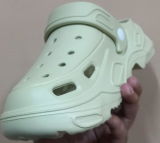 setia v. review photo