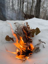 Carmon Frick review photo
