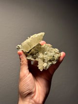 Hyman review photo