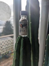 Bradley Hildebrand review photo