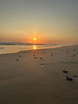 Will Morales review photo