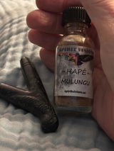 Ansley B. review photo