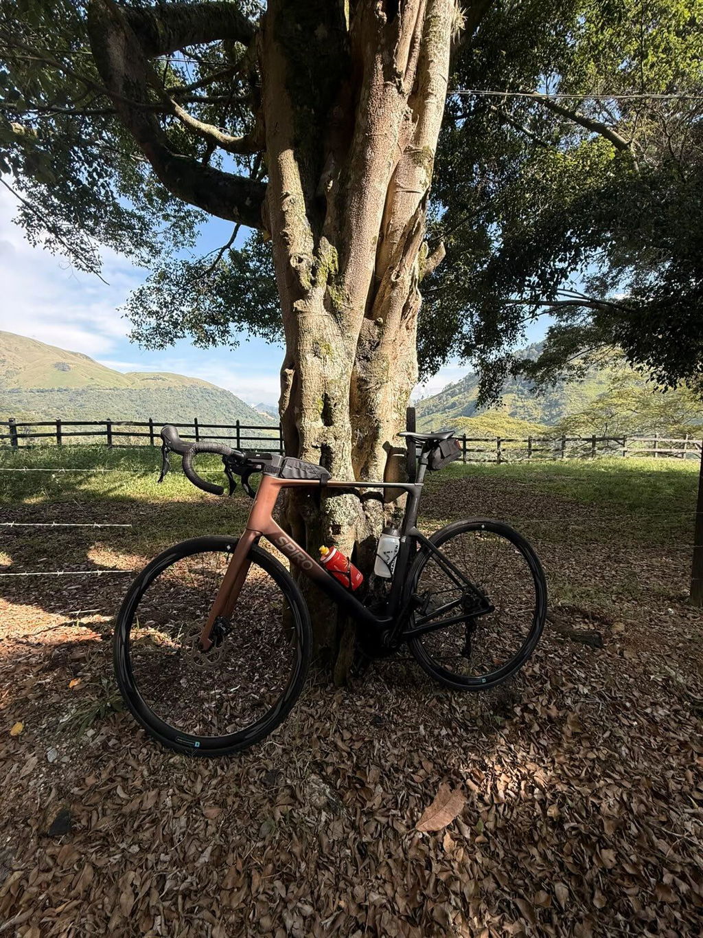 Bicicleta de ruta LEGEND SL en carbono Shimano 105