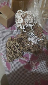 D.M.N. review photo