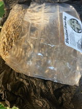 Maythem A. review photo